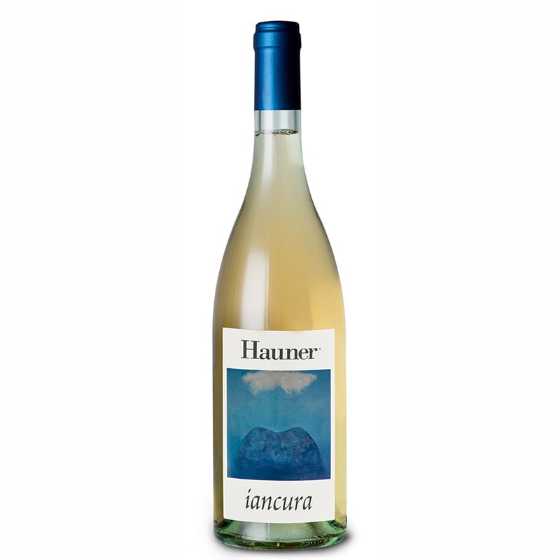 hauner-iancura-2021
